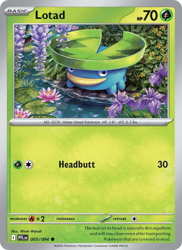 Lotad 005/094  - Phantasmal Flames