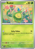 Budew 016/217  - Ascended Heroes