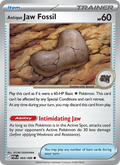Antique Jaw Fossil 068/088  - Perfect Order