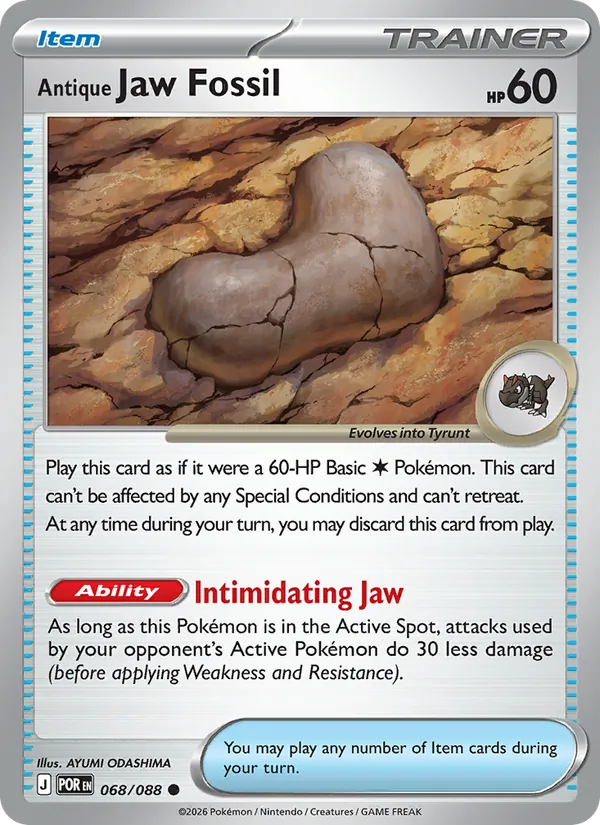 Antique Jaw Fossil 068/088  - Perfect Order