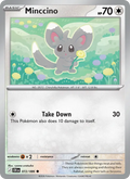 Minccino 072/086  - Chaos Rising