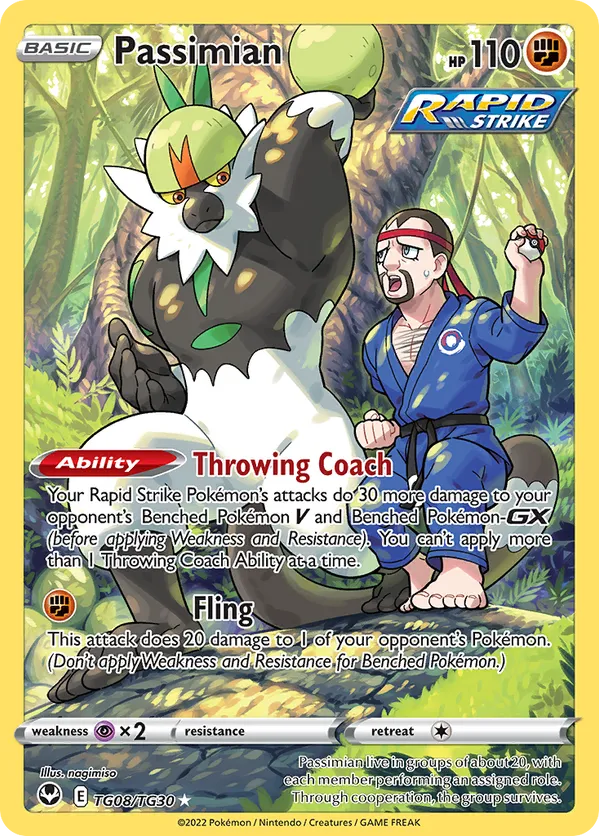 Passimian TG08/TG30 - Silver Tempest Trainer Gallery