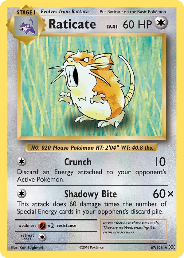 Raticate 67/108 Reverse Holo - Evolutions